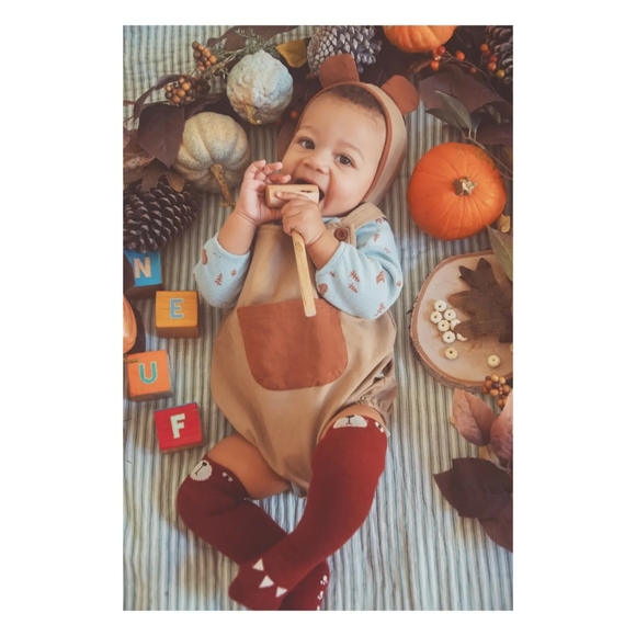 EUC Toddler Bear Knee Socks - Picture 3 of 3